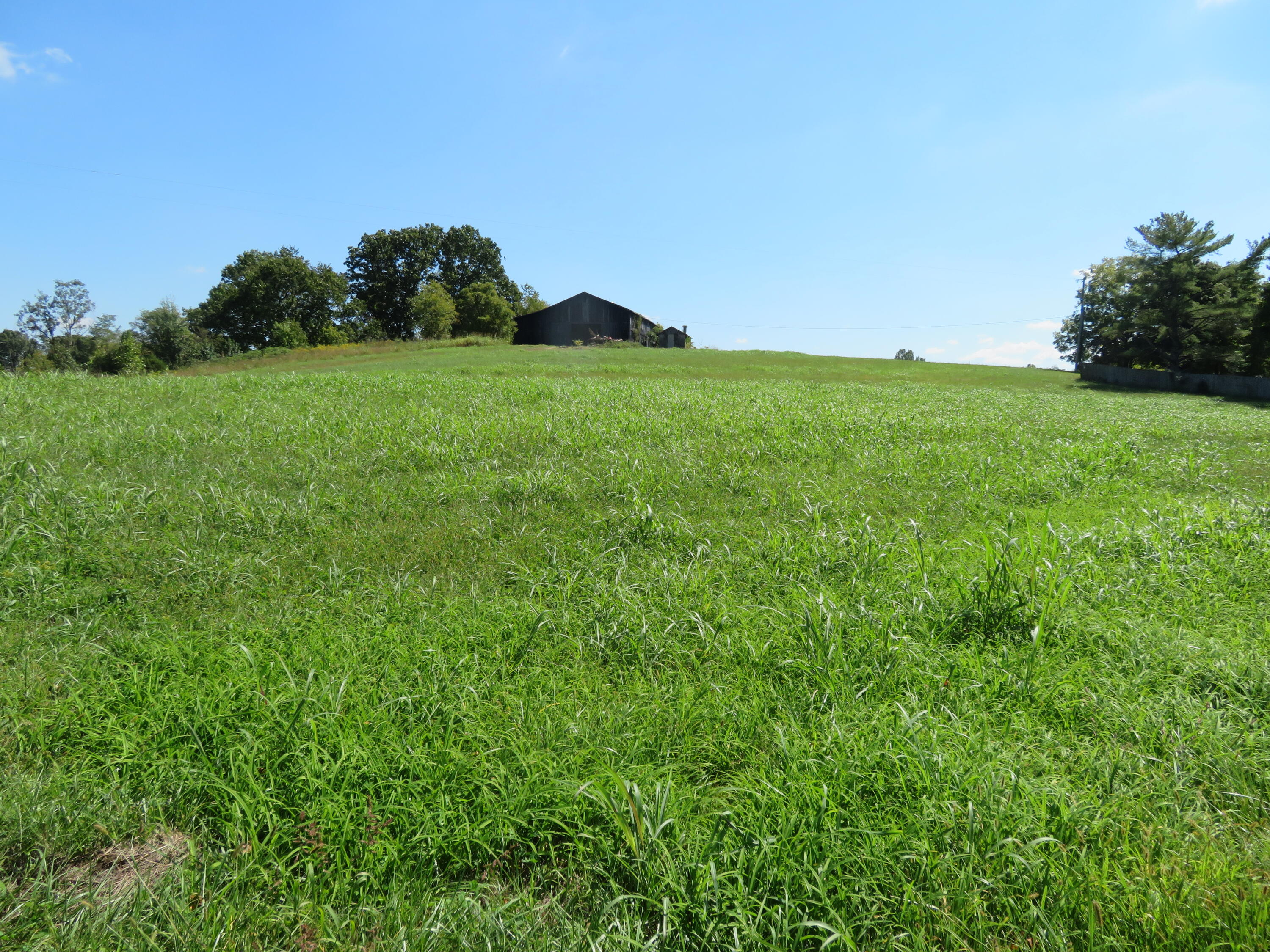 620 Lillies Ferry Road Winchester, KY 40391 - Photo 1 of 18 IMG_3010