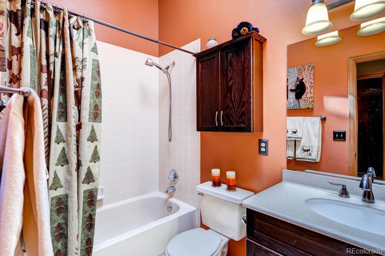 8045 Native Dancer Trail Evergreen, CO 80439 - Photo 18 of 29 a bathroom with a sink toilet and shower
