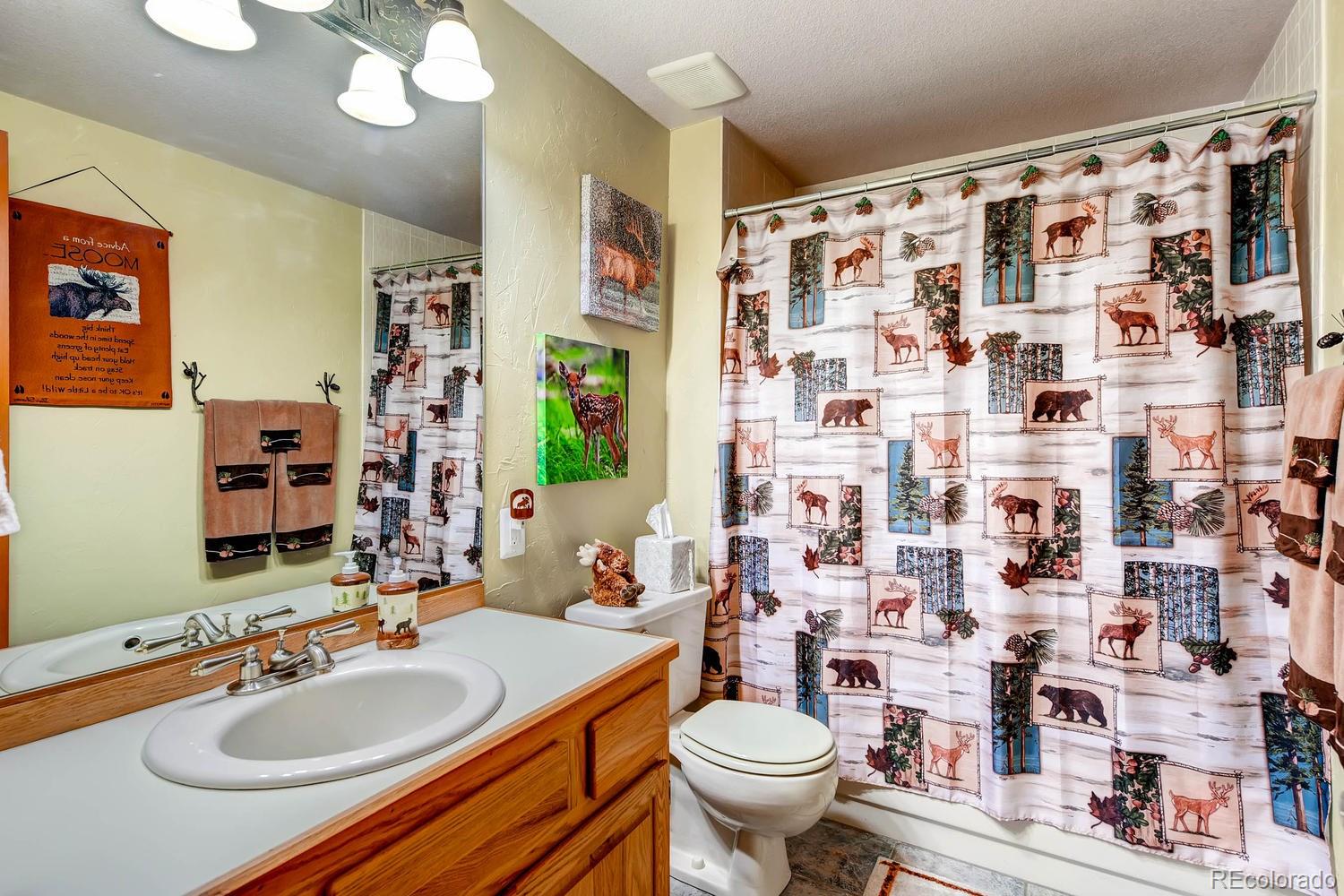8045 Native Dancer Trail Evergreen, CO 80439 - Photo 23 of 29 a bathroom with a sink toilet and shower