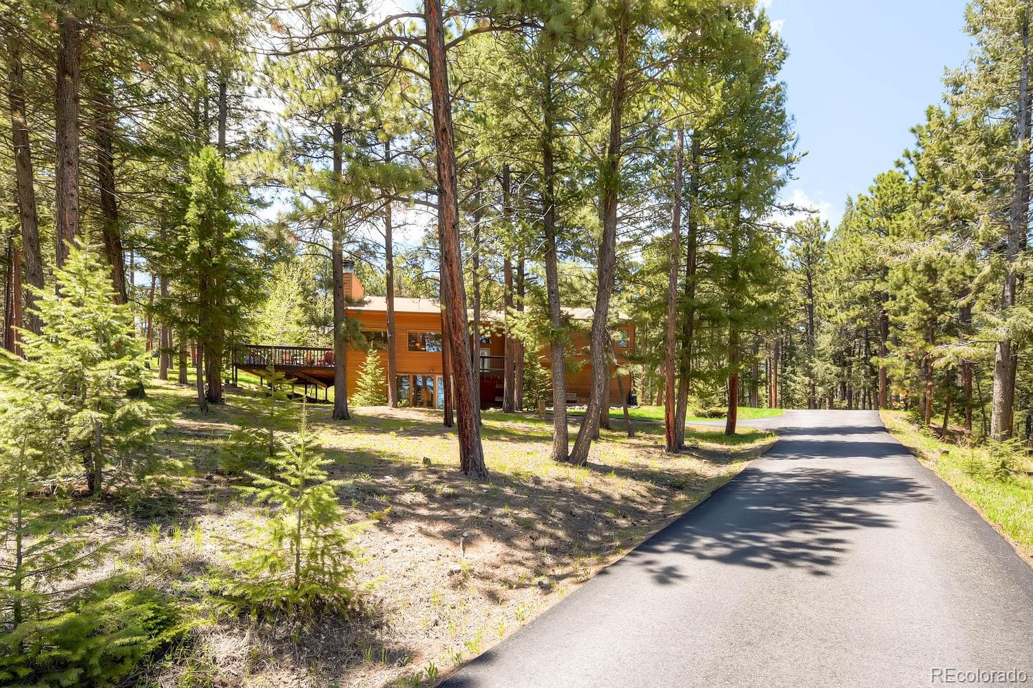 8045 Native Dancer Trail Evergreen, CO 80439 - Photo 4 of 29 a view of a yard with a tree