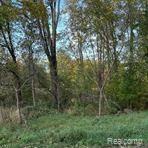0 West Coon Lake Road Howell, MI 48843 - Photo 1 of 1