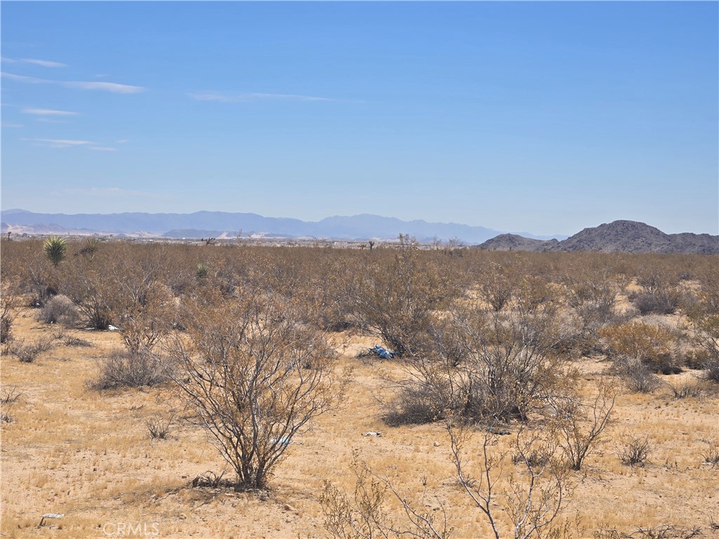 1577 Mc Garry Road Joshua Tree, CA 92252 - Photo 4 of 8
