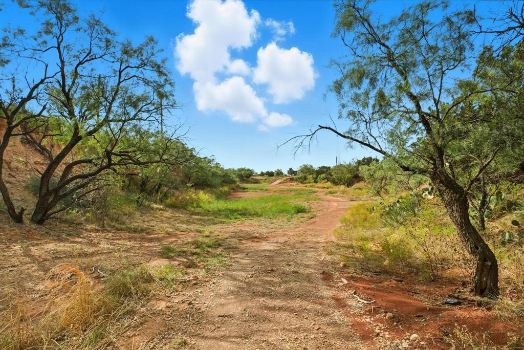 342 County Road 644 Merkel, TX 79536 - Photo 35 of 36 a view of a lake with lots of trees