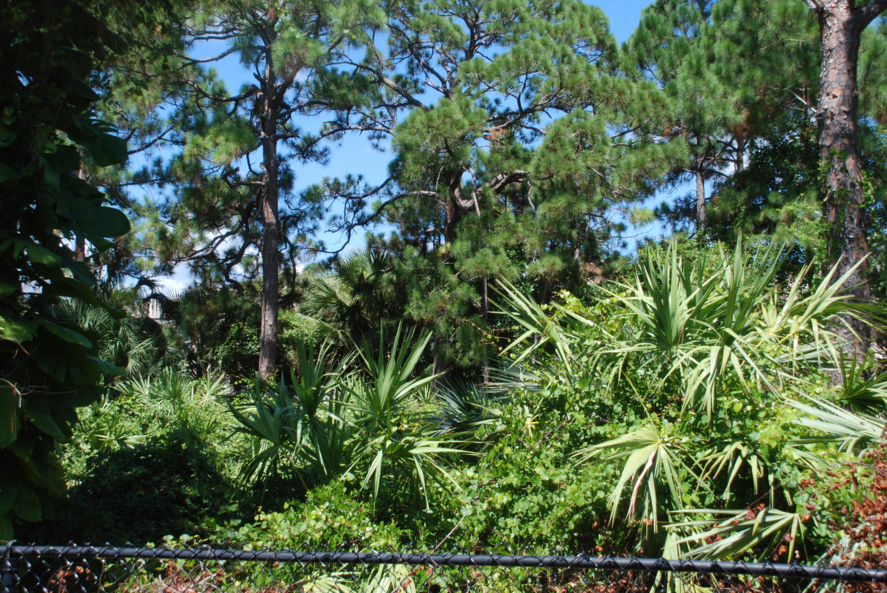 134 Fox Meadow Run Jupiter, FL 33458 - Photo 13 of 13 Preserve View