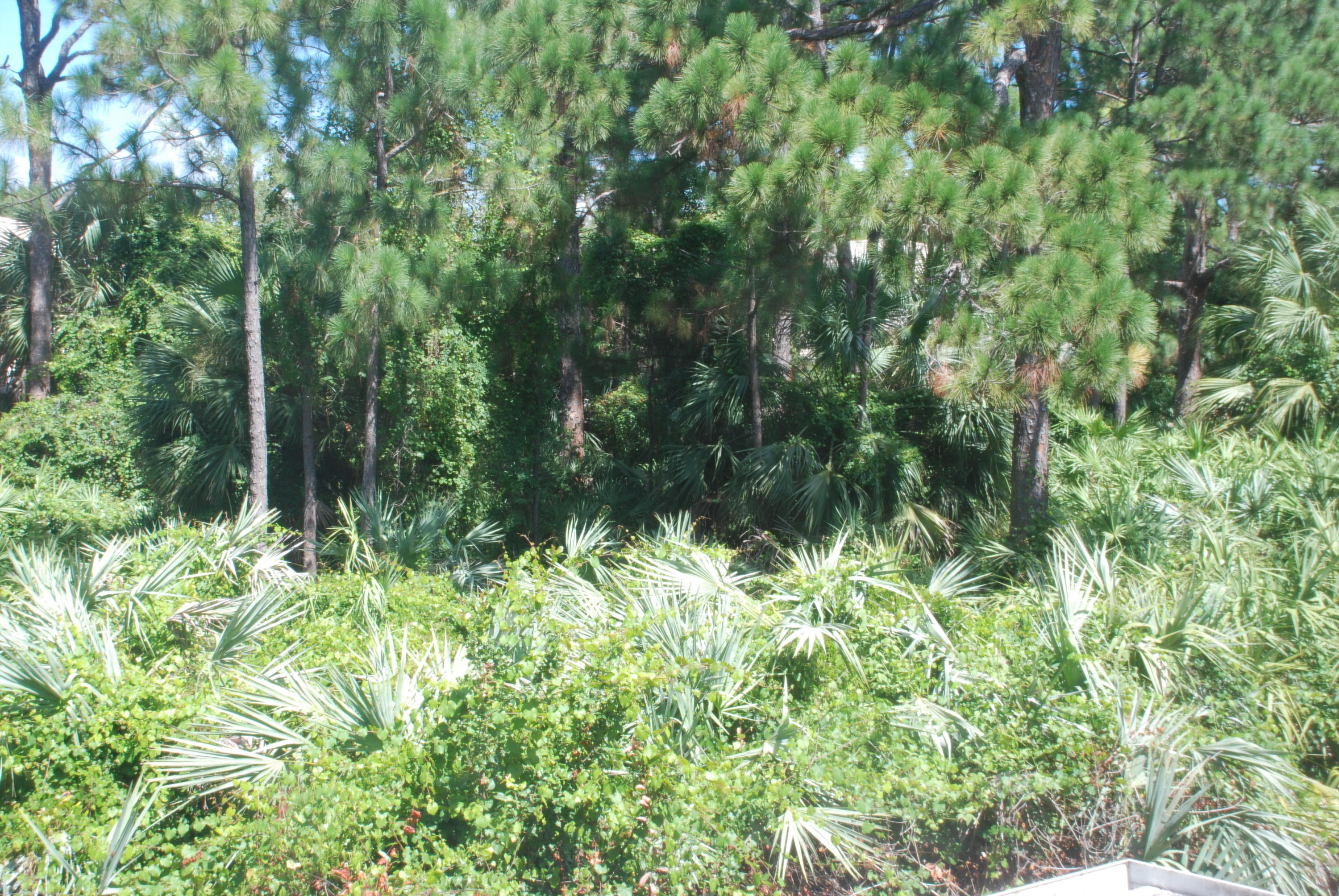 134 Fox Meadow Run Jupiter, FL 33458 - Photo 7 of 13 Master BR View