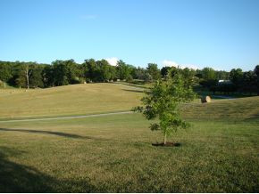 1355 Harmony Road Jonesborough, TN 37659 - Photo 5 of 23 View of entrance from home