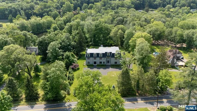 a view of a yard with plants
