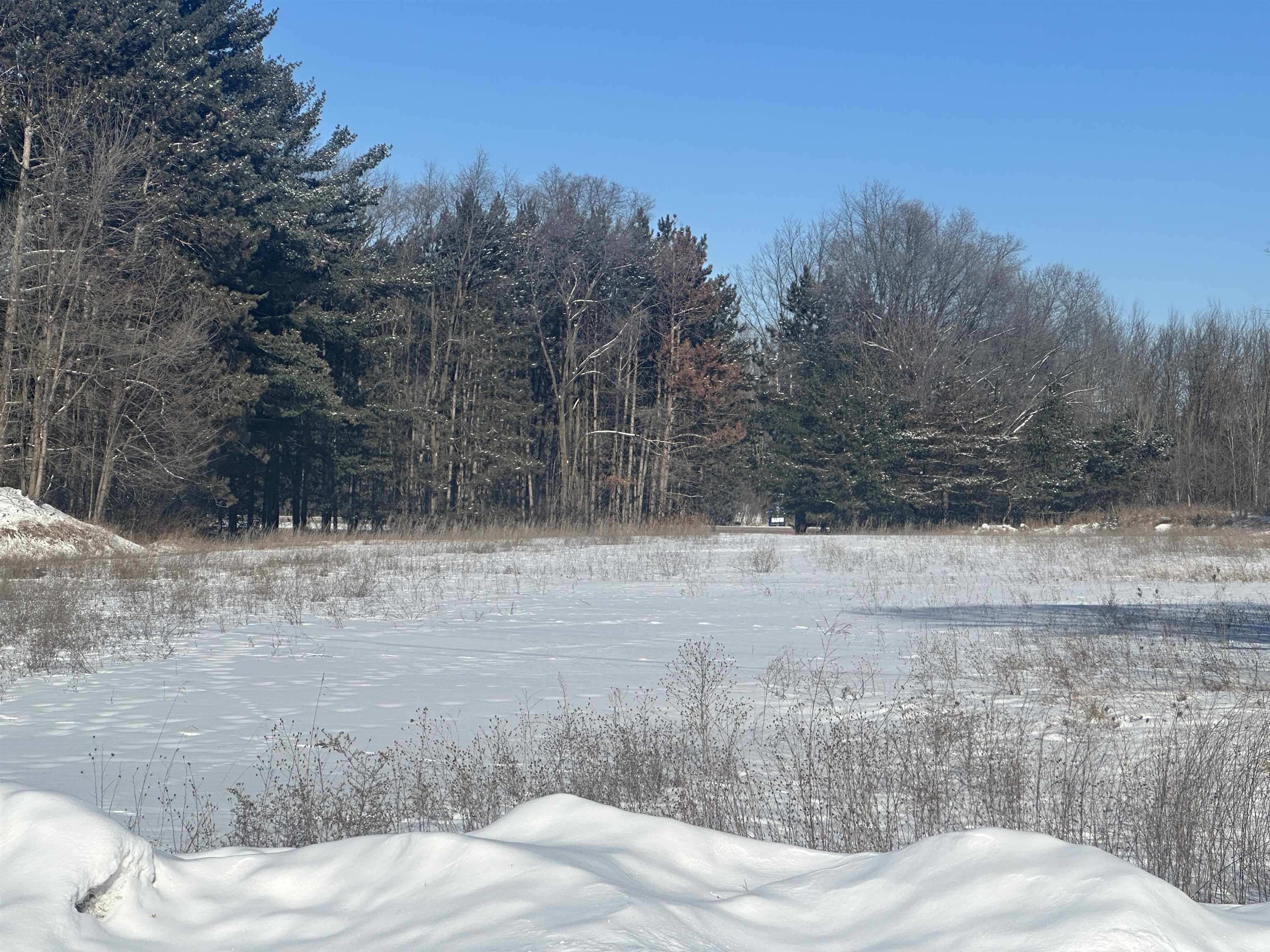 1345 Highway 45 Marion, WI 54950 - Photo 6 of 8