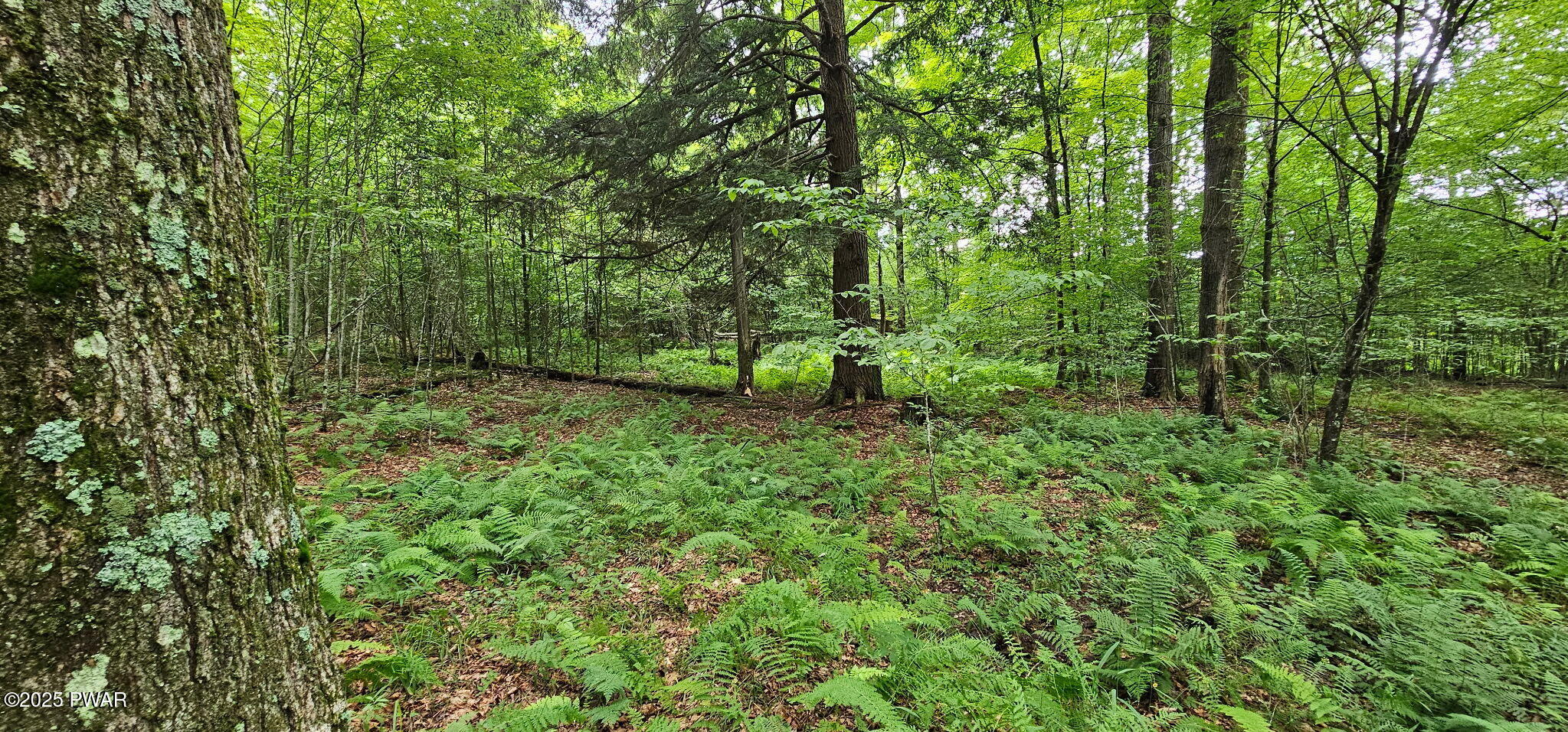 492 Chicopee Road Equinunk, PA 18417 - Photo 4 of 6