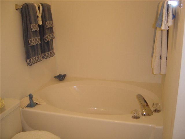 22 Corey Way Travelers Rest, SC 29690 - Photo 18 of 23 Gallery Image 18