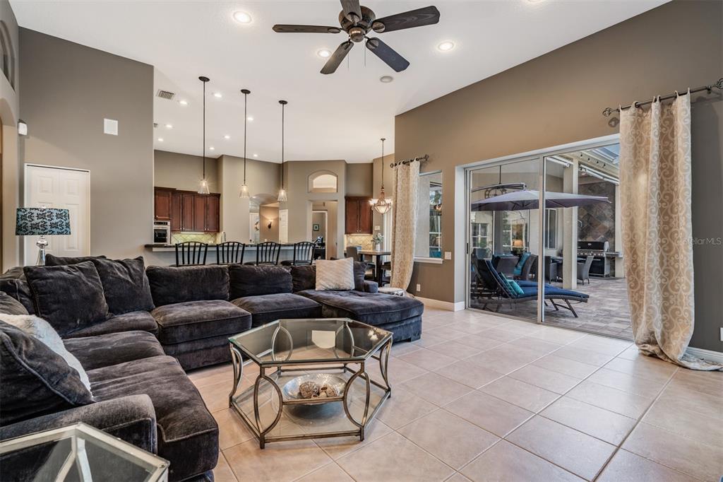 3727 Janus Way Palm Harbor, FL 34685 - Photo 12 of 98