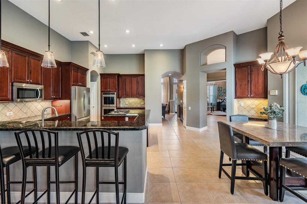 3727 Janus Way Palm Harbor, FL 34685 - Photo 14 of 98