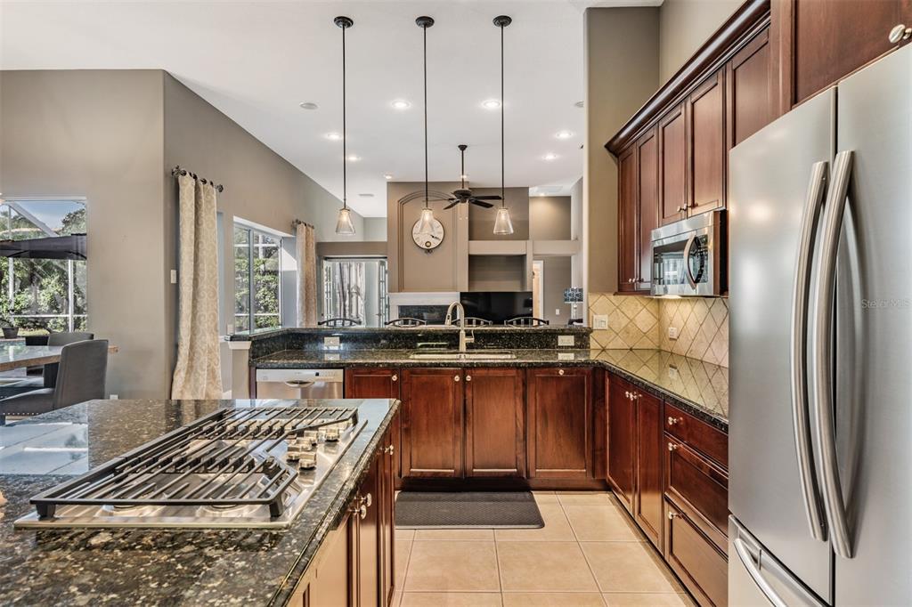 3727 Janus Way Palm Harbor, FL 34685 - Photo 18 of 98 a kitchen with stainless steel appliances granite countertop a sink a stove and a refrigerator