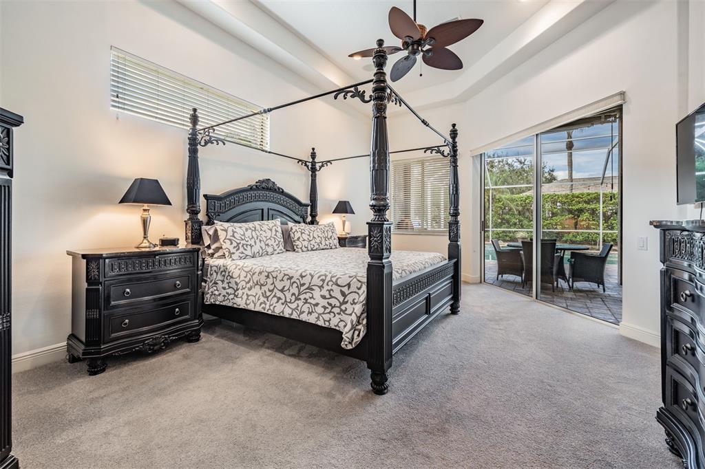 3727 Janus Way Palm Harbor, FL 34685 - Photo 22 of 98