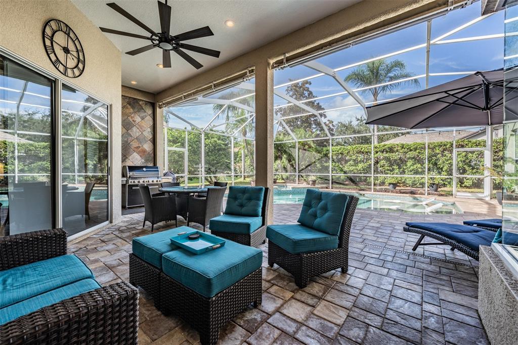 3727 Janus Way Palm Harbor, FL 34685 - Photo 45 of 98