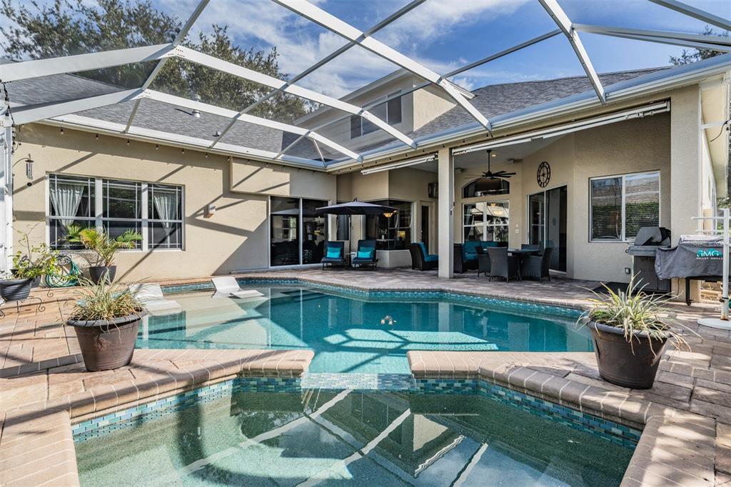3727 Janus Way Palm Harbor, FL 34685 - Photo 48 of 98