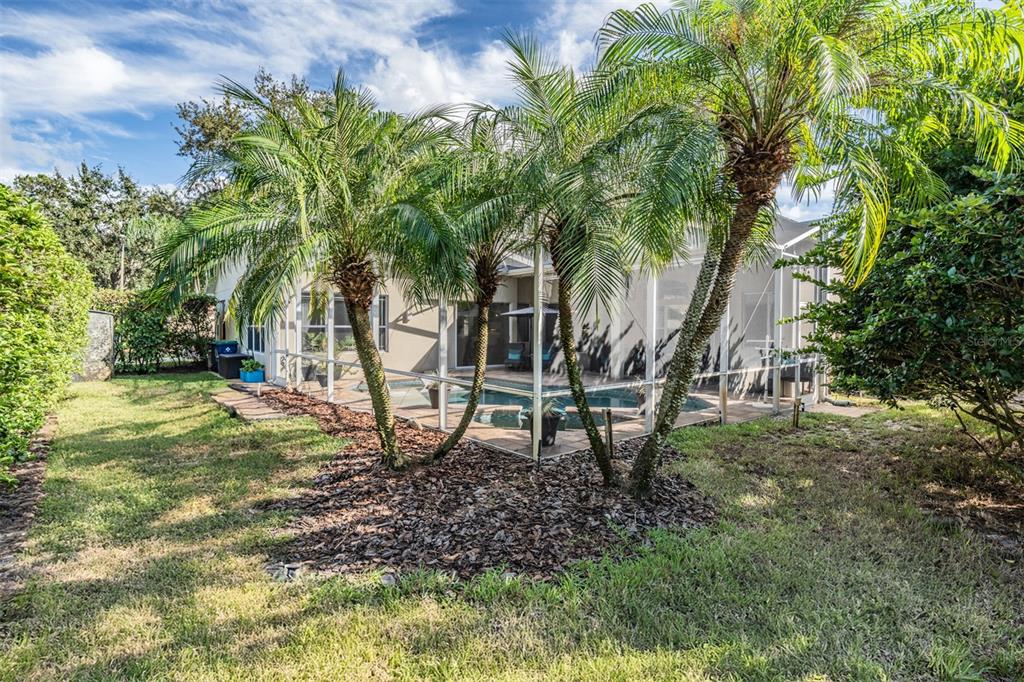 3727 Janus Way Palm Harbor, FL 34685 - Photo 50 of 98