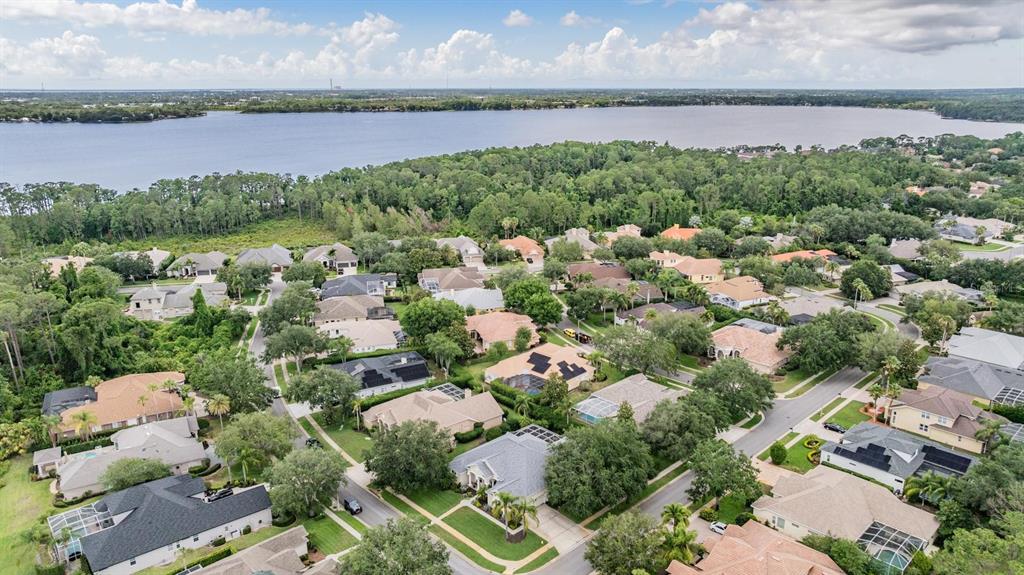 3727 Janus Way Palm Harbor, FL 34685 - Photo 63 of 98 an aerial view of a houses with outdoor space and lake view