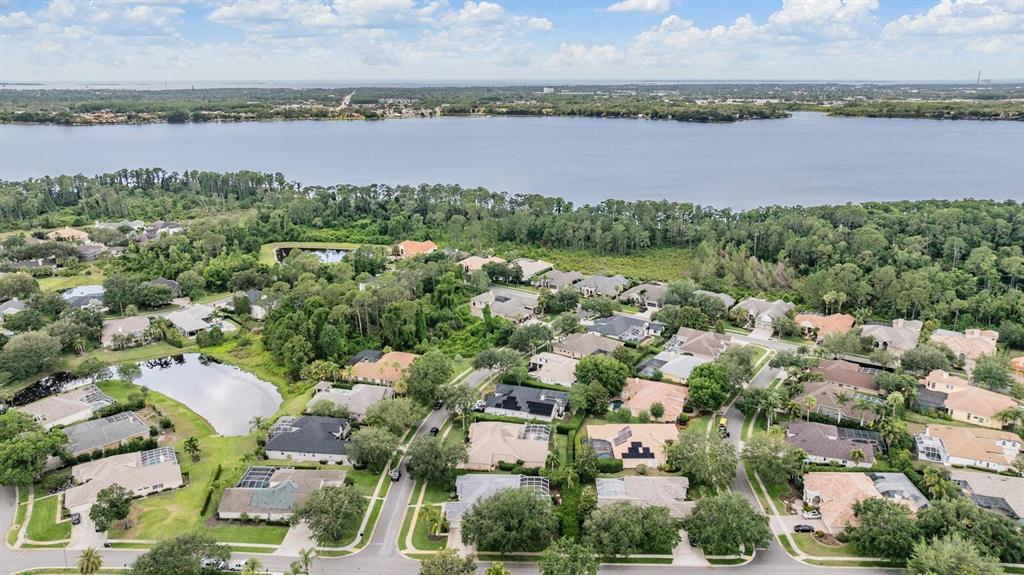 3727 Janus Way Palm Harbor, FL 34685 - Photo 64 of 98