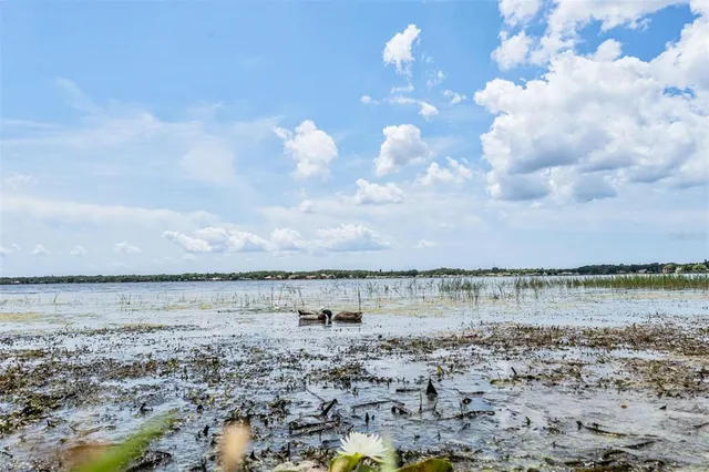 $1,099,999 | 3727 Janus Way, Palm Harbor, FL 34685