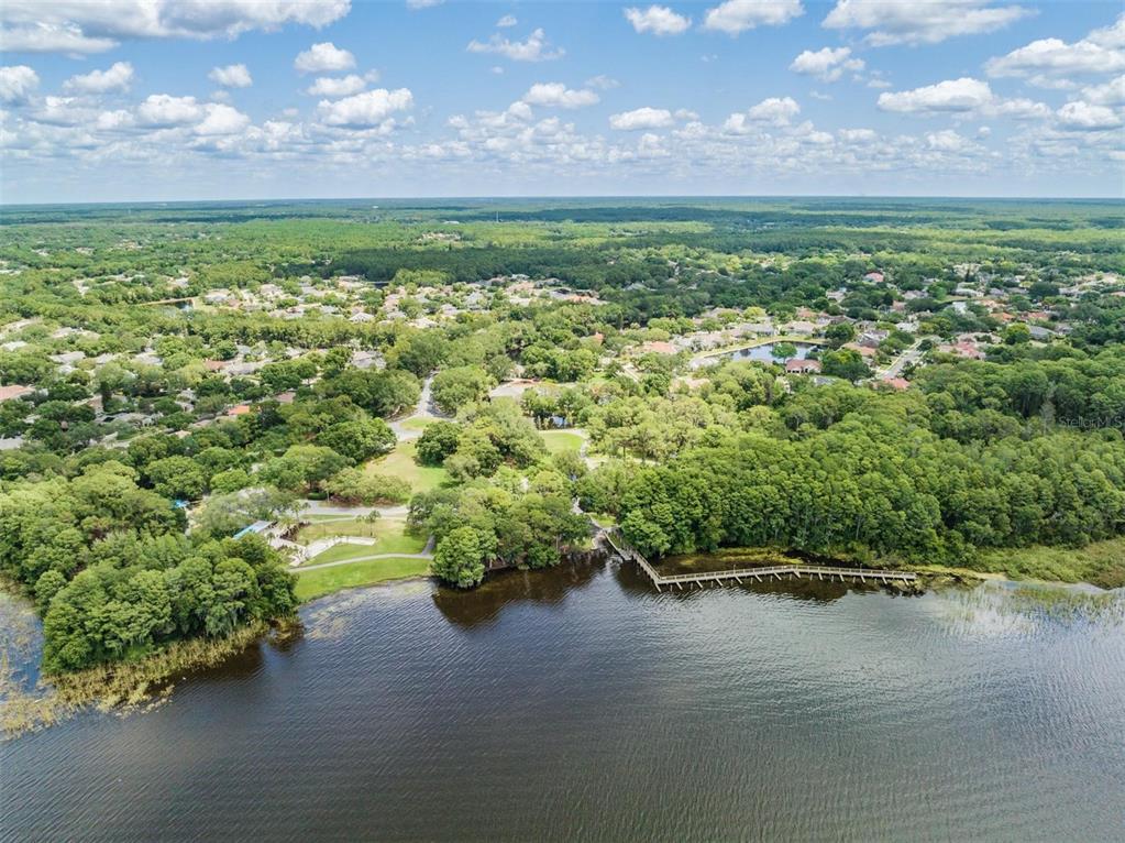 3727 Janus Way Palm Harbor, FL 34685 - Photo 76 of 98 a view of a lake with a city