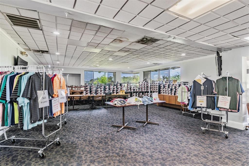 3727 Janus Way Palm Harbor, FL 34685 - Photo 88 of 98 a view of a room with gym equipment