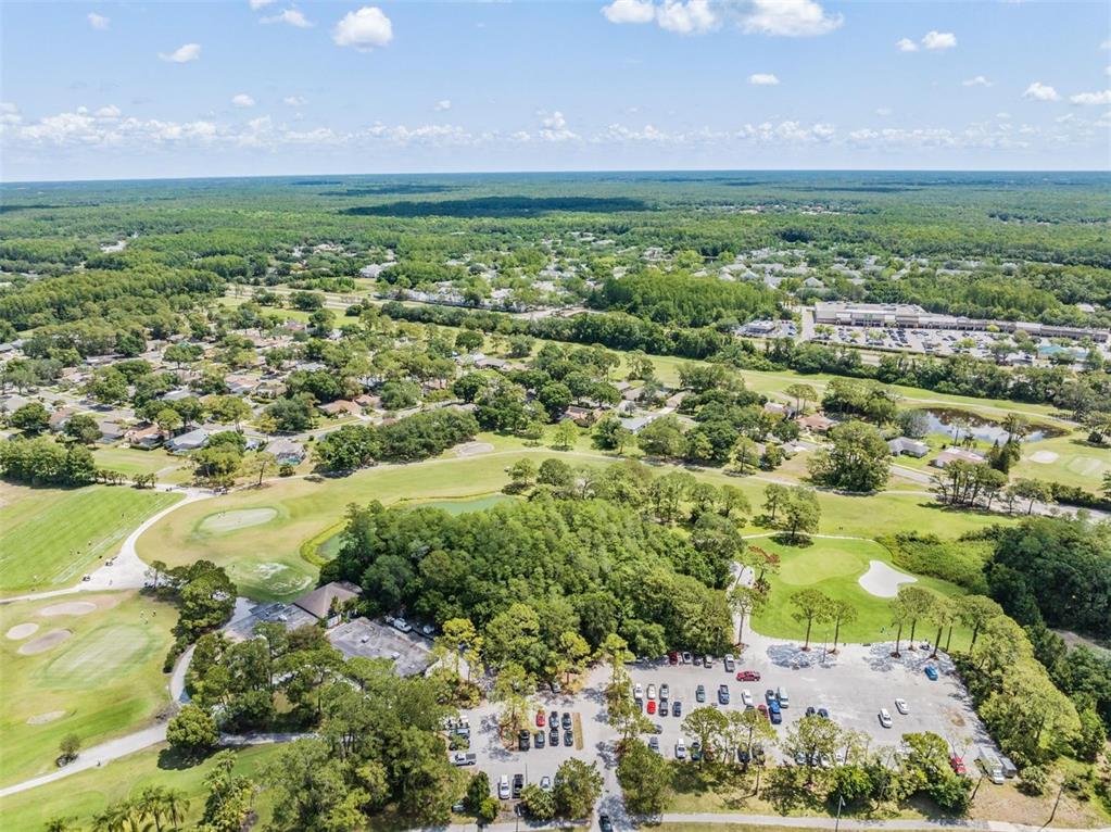 3727 Janus Way Palm Harbor, FL 34685 - Photo 92 of 98