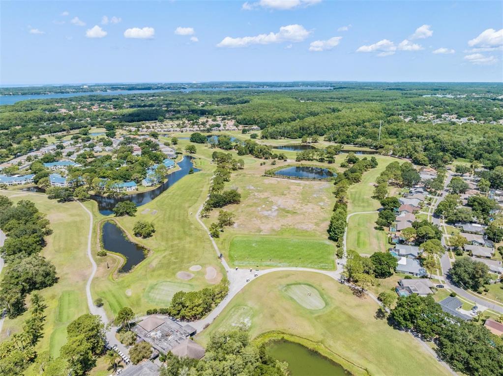 3727 Janus Way Palm Harbor, FL 34685 - Photo 95 of 98 a view of a city