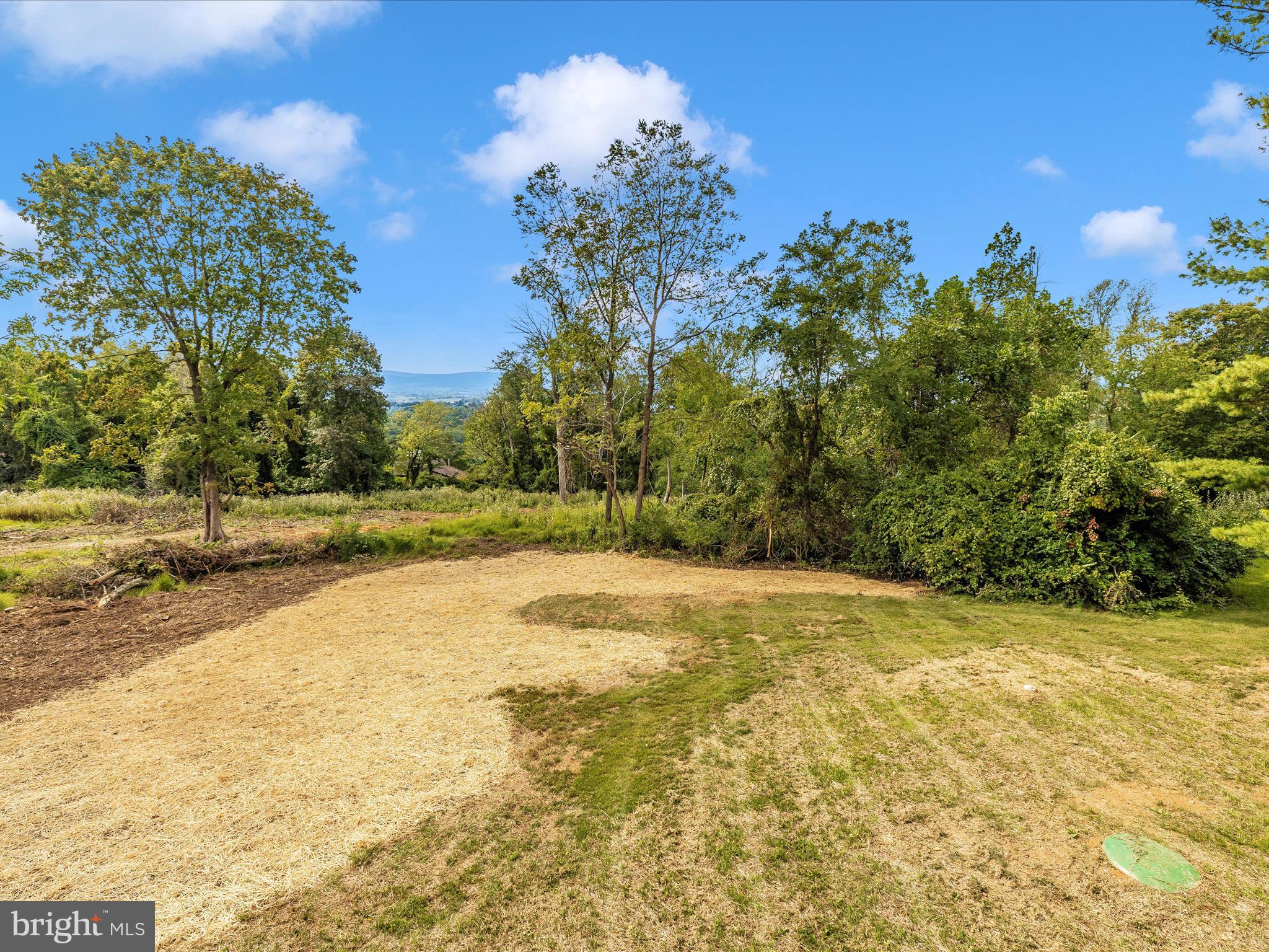 7038 Ridge Road Frederick, MD 21702 - Photo 55 of 71 Exterior Deck View