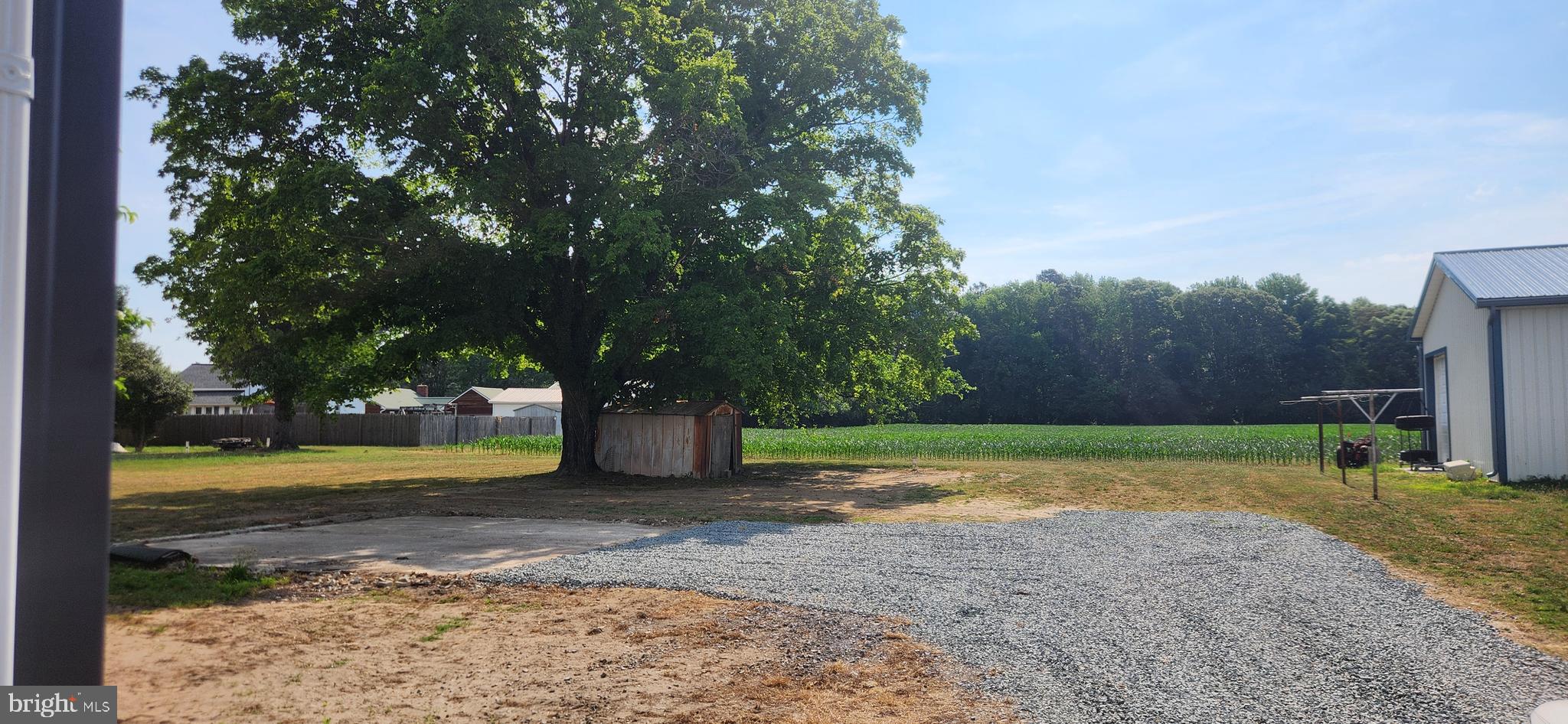 10819 Greensboro Road Denton, MD 21629 - Photo 9 of 27 over 1/2 ac
