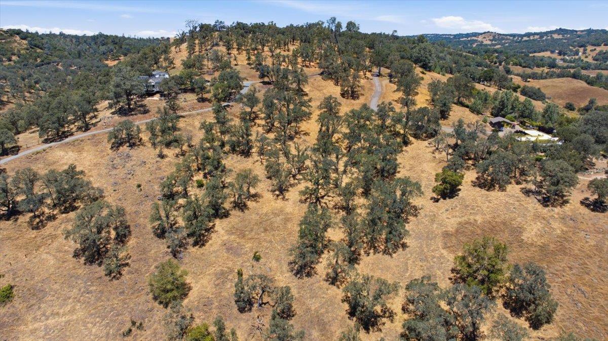 7265 Dragon Point Road Shingle Springs, CA 95682 - Photo 10 of 11 a view of a forest with mountains in the background
