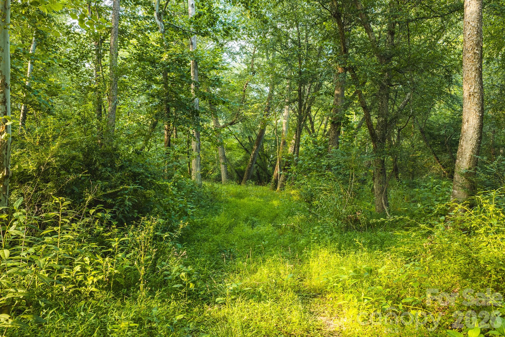 Tbd Sandbar Road Granite Falls, NC 28630 - Photo 2 of 43