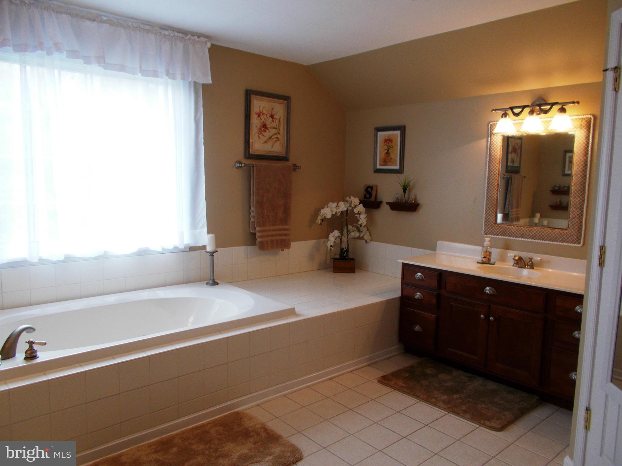 12658 Spickler Road Clear Spring, MD 21722 - Photo 16 of 21 a spacious bathroom with a bathtub sink and mirror