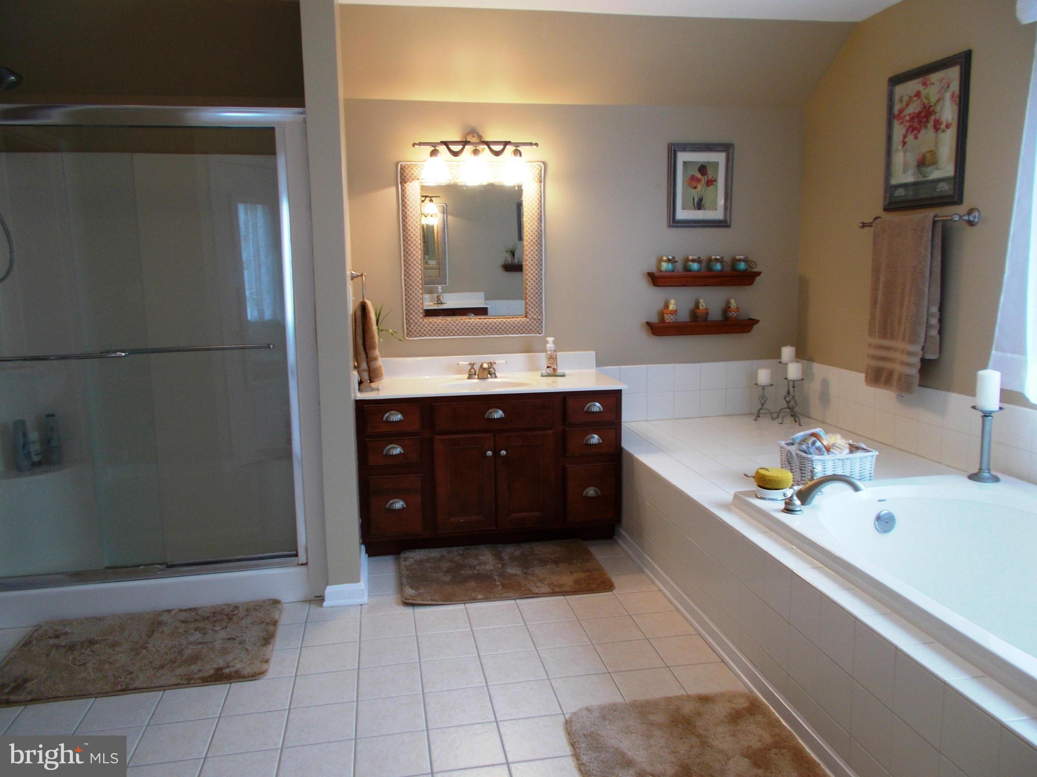 12658 Spickler Road Clear Spring, MD 21722 - Photo 17 of 21 a spacious bathroom with a tub sink and mirror