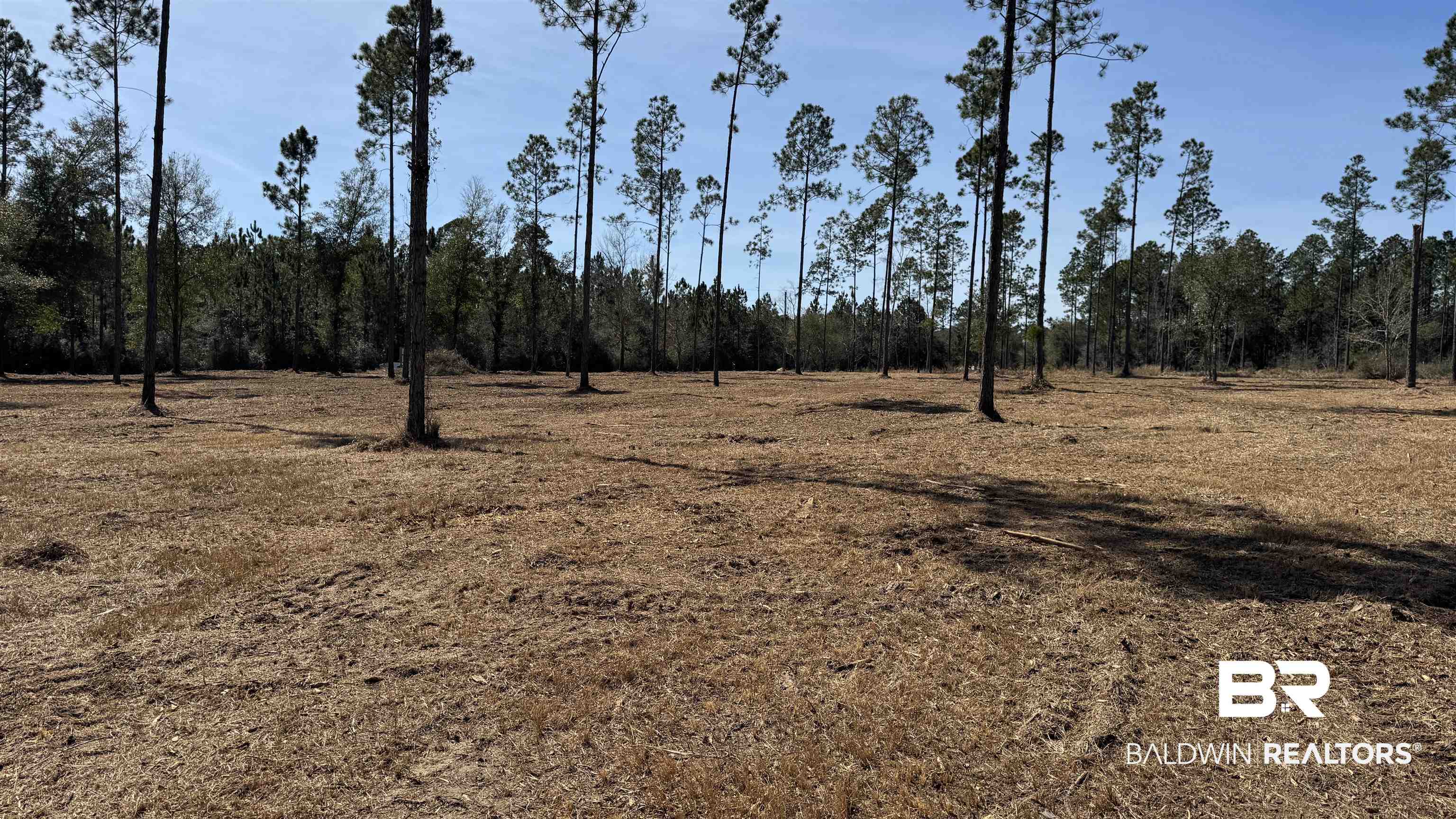 0 Archie Road Elberta, AL 36530 - Photo 10 of 16 View of local wilderness