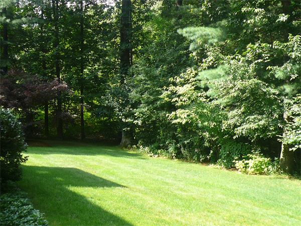 5 Hannan Ridge Road Haverhill, MA 01832 - Photo 14 of 14 Gallery Image 14