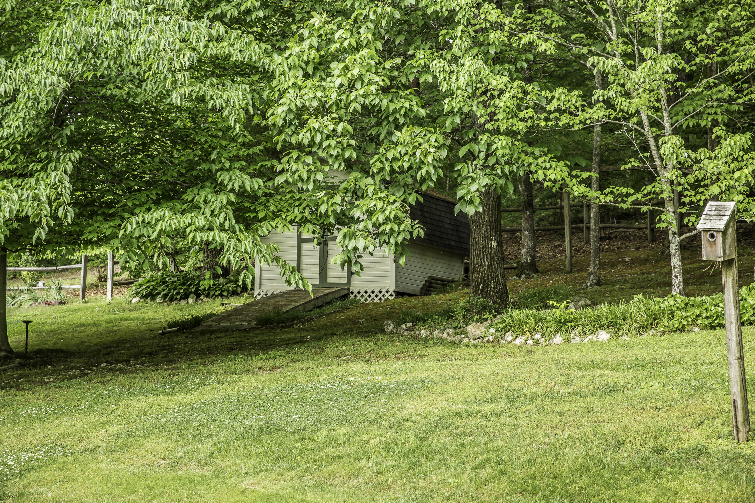 1339 Long Hollow Road Rock Spring, GA 30739 - Photo 5 of 22 23 - Back yard 2 (1 of 1).jpg