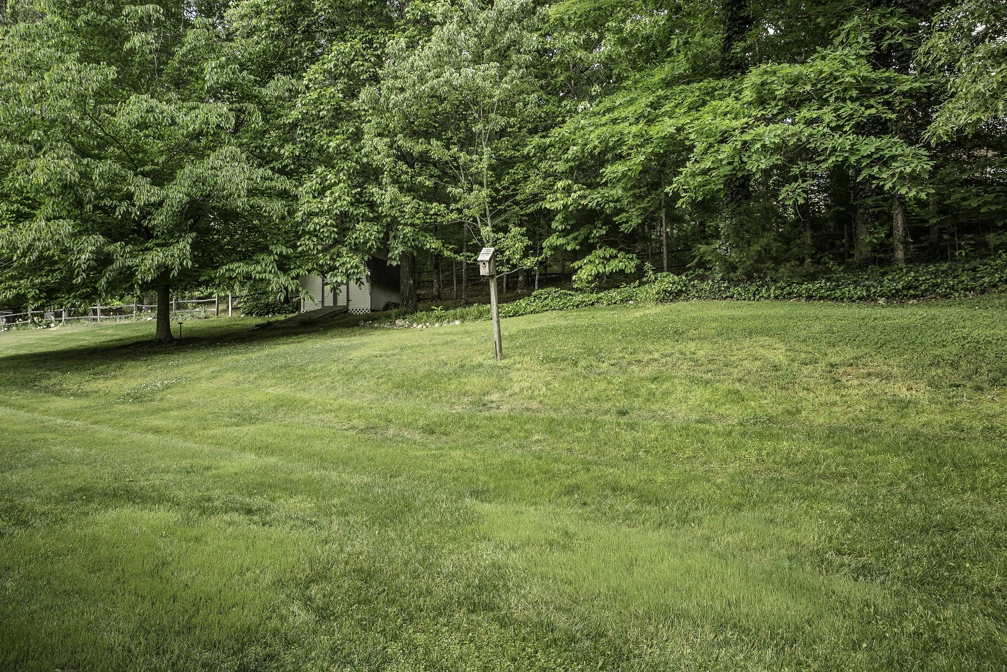 1339 Long Hollow Road Rock Spring, GA 30739 - Photo 6 of 22 22 - Back yard 1 (1 of 1) rev