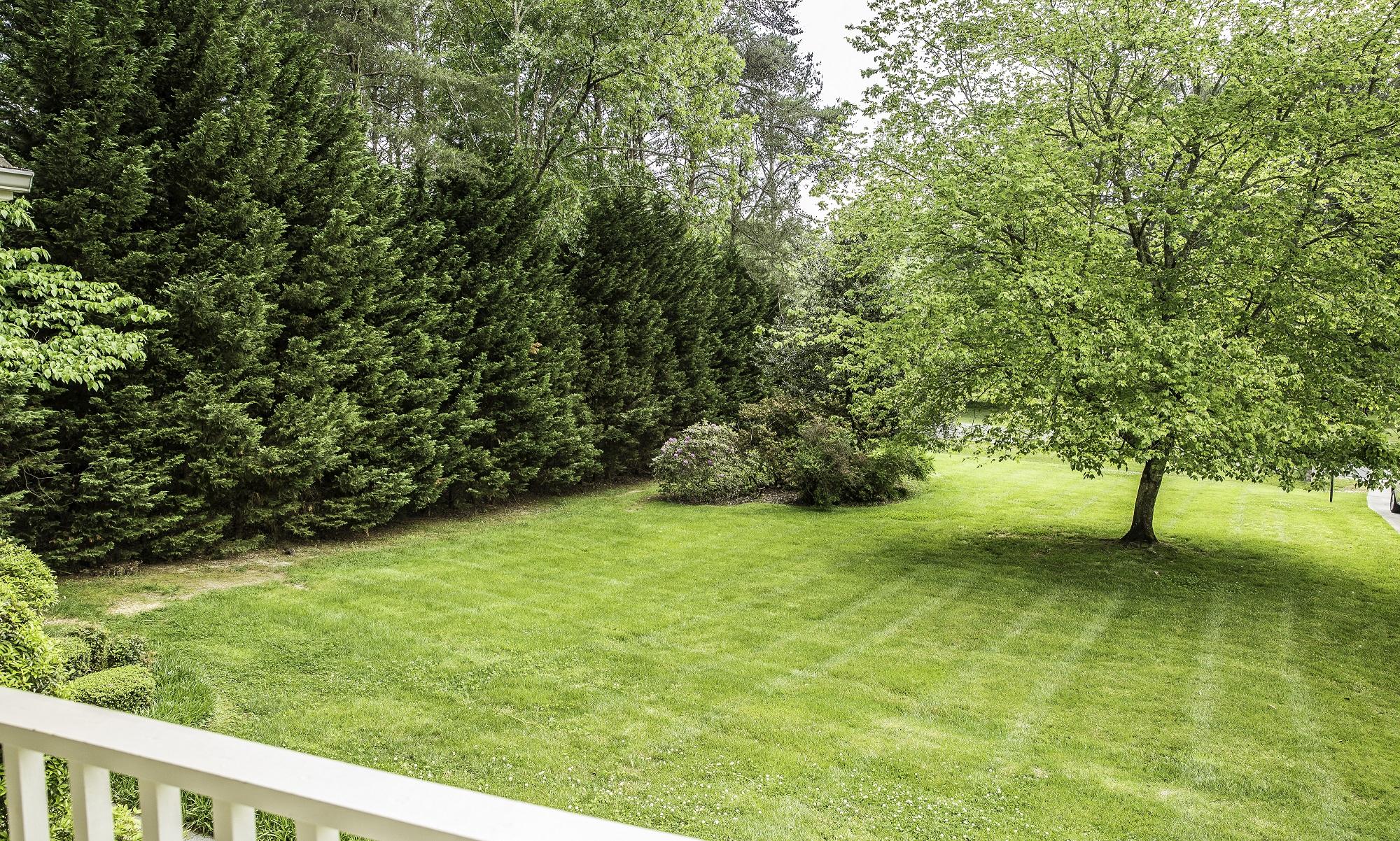 1339 Long Hollow Road Rock Spring, GA 30739 - Photo 7 of 22 27 - Front yard 1 (1 of 1) rev