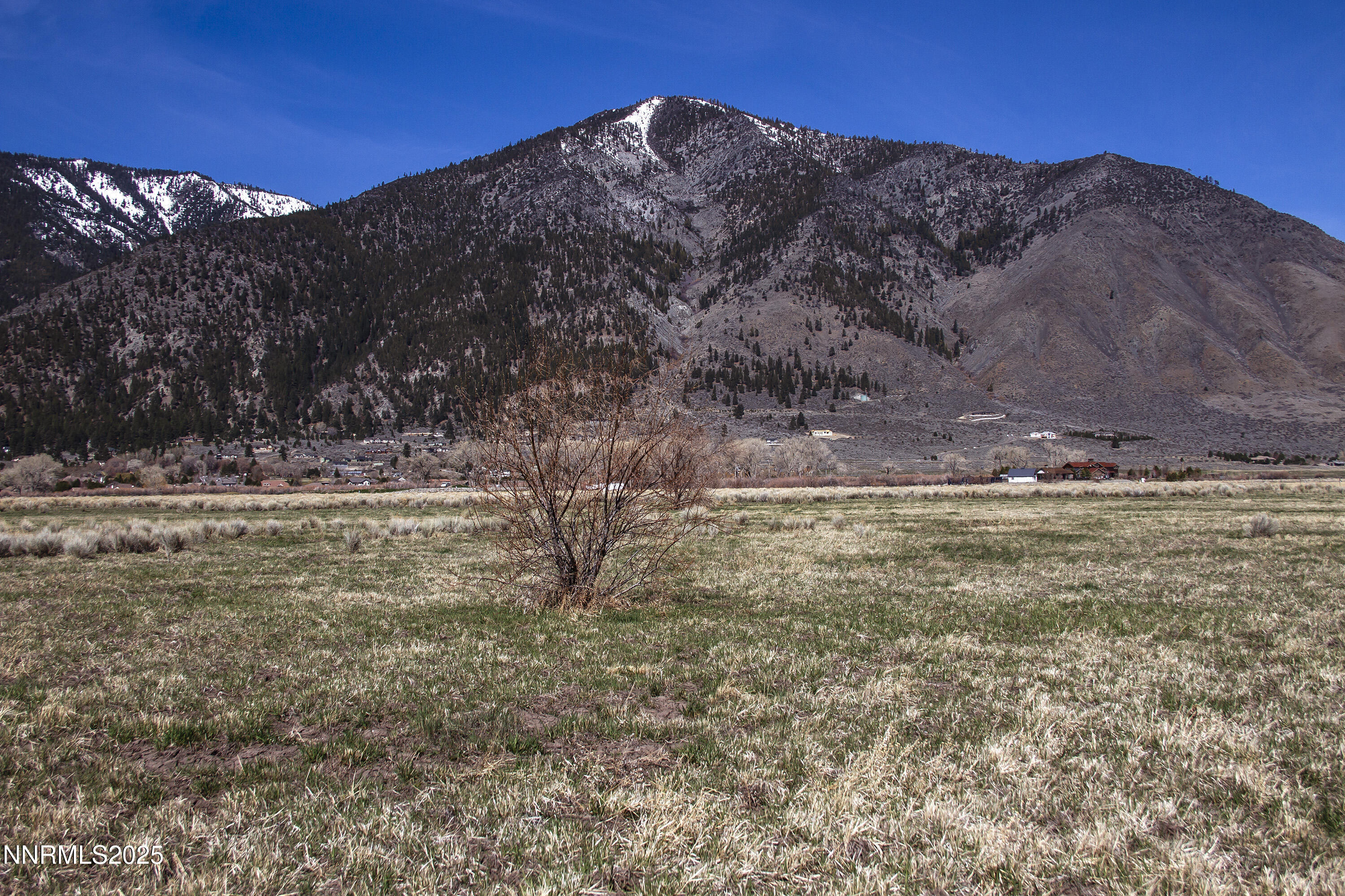 4 Deerhaven Genoa, NV 89411 - Photo 4 of 26 a view of a yard with an outdoor space