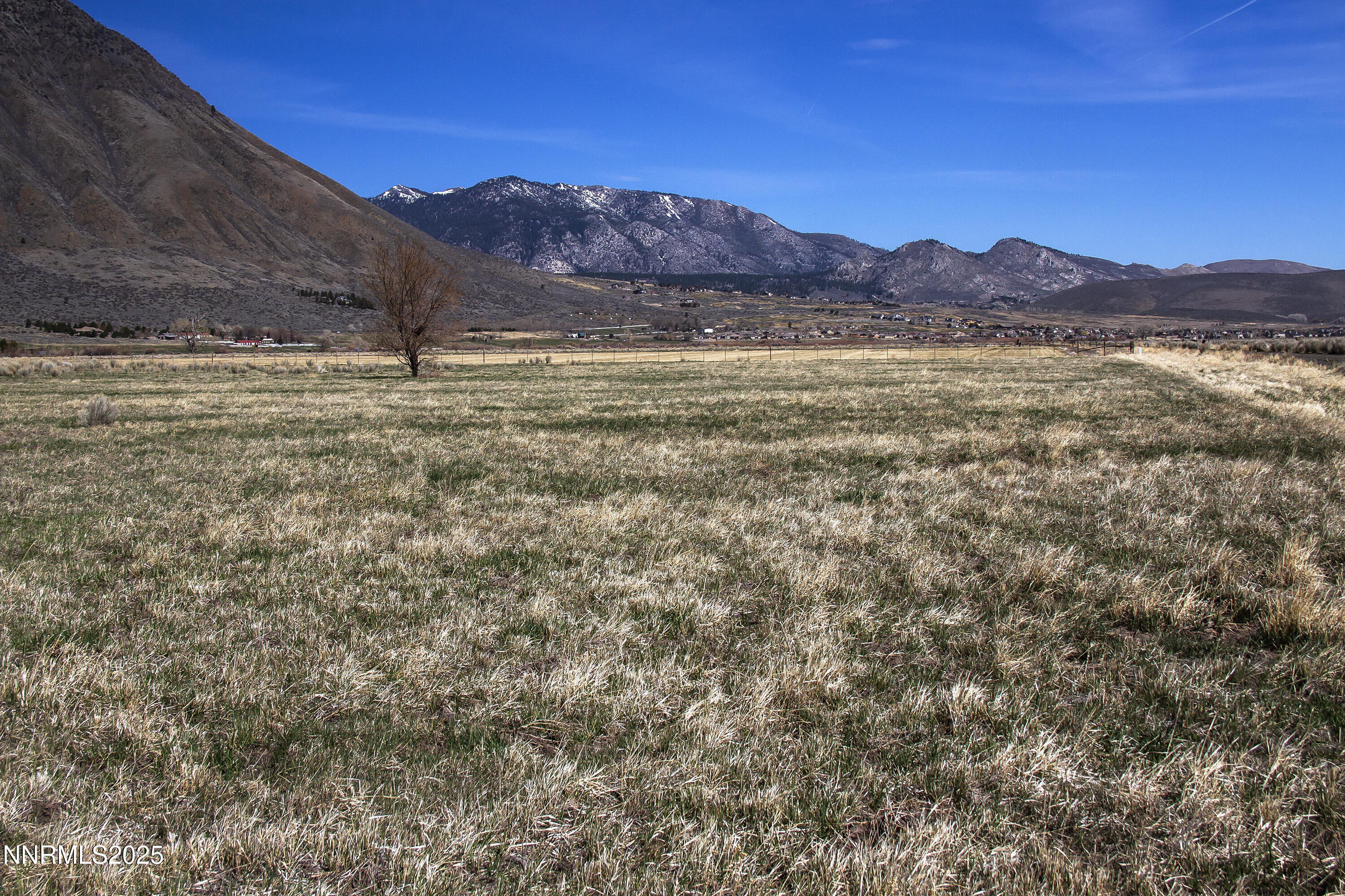 4 Deerhaven Genoa, NV 89411 - Photo 6 of 26 a view of mountain with a yard