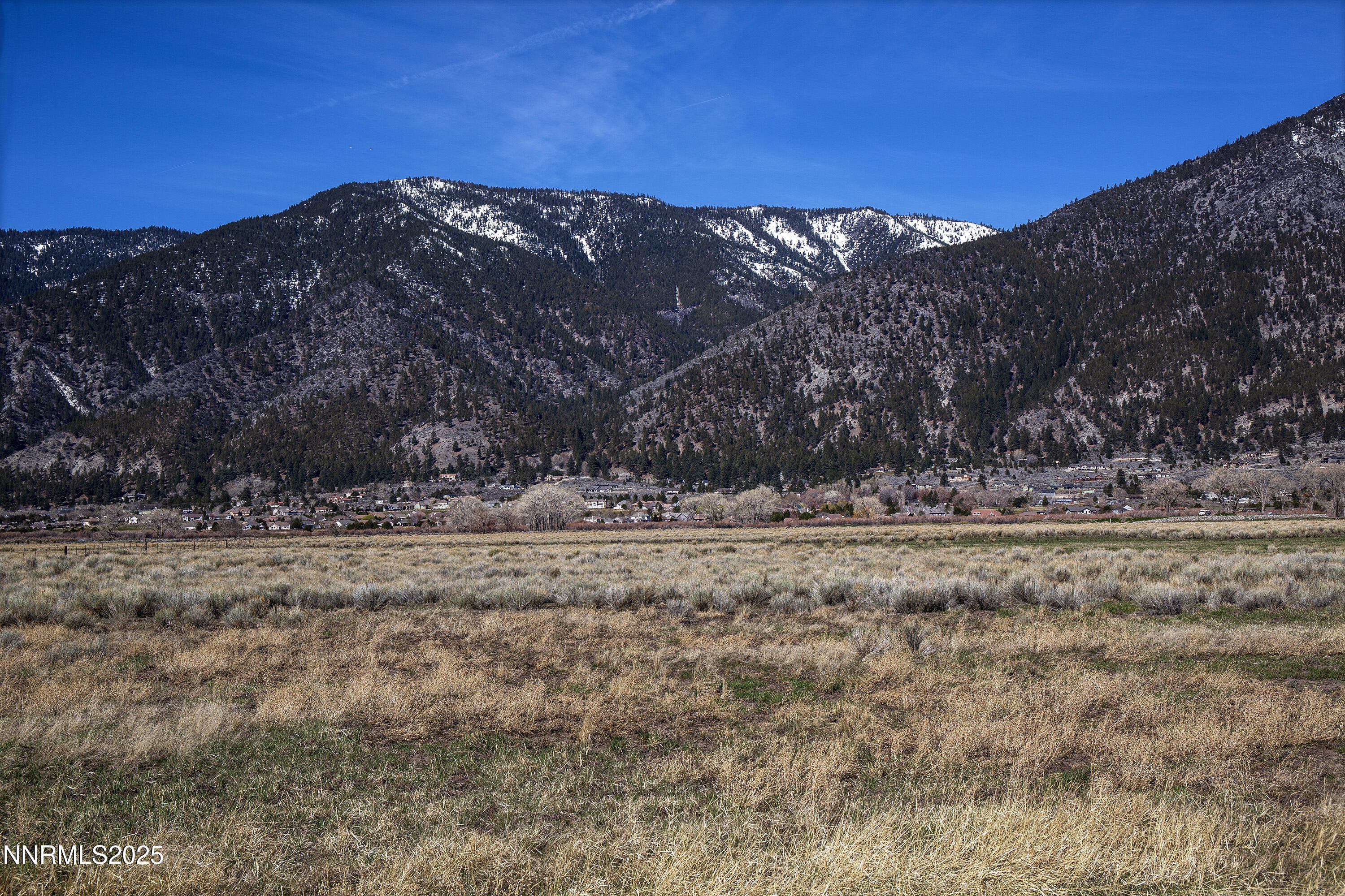 4 Deerhaven Genoa, NV 89411 - Photo 8 of 26 a view of a yard