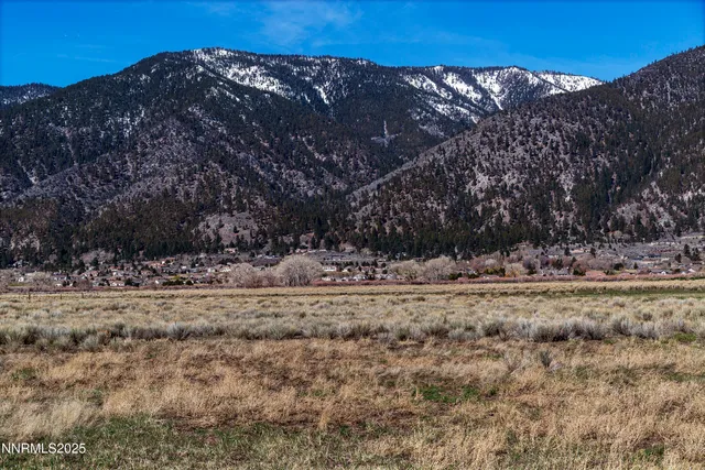 a view of a dry yard with trees