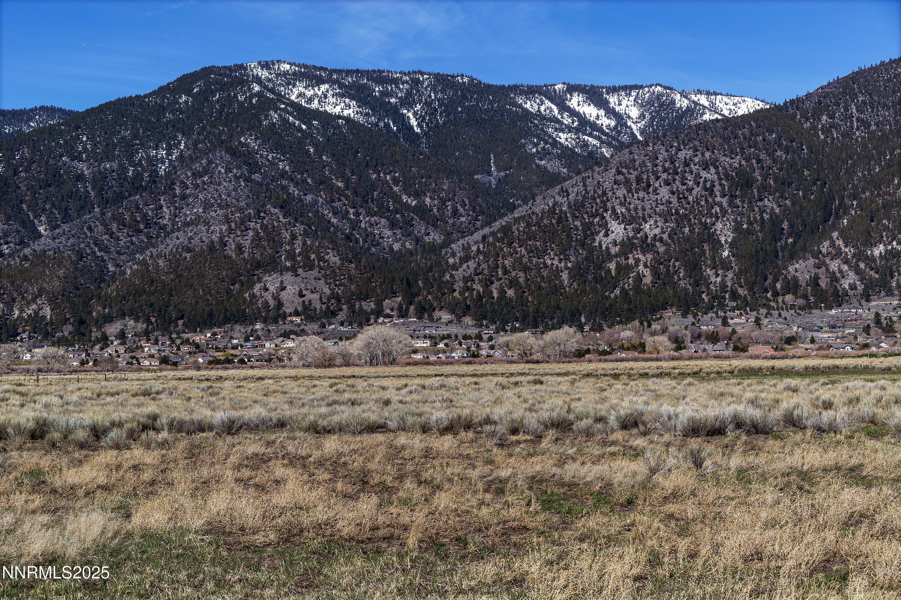 4 Deerhaven Genoa, NV 89411 - Photo 9 of 26 a view of a dry yard with trees