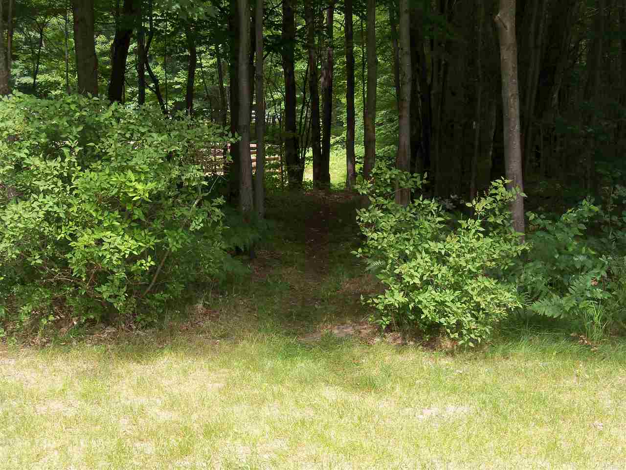 2231 East 32 Road Cadillac, MI 49601 - Photo 31 of 64 1851311-30.JPG