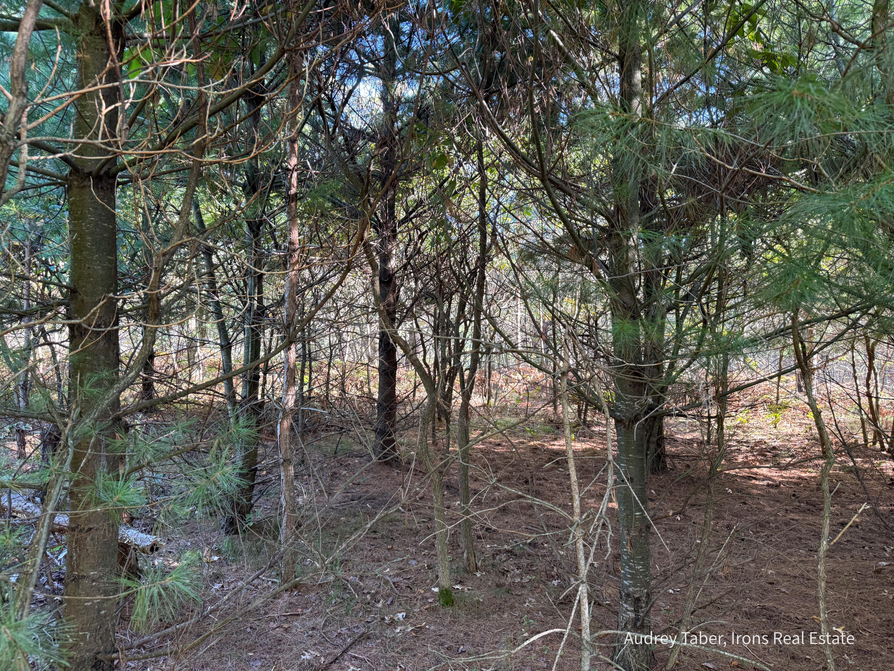 3 Clements Road Kaleva, MI 49645 - Photo 11 of 38 ClementsRd-140