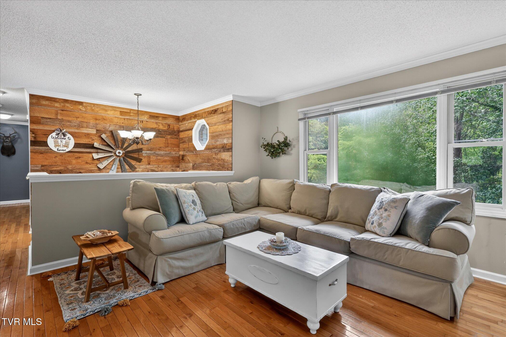 4020 Cooks Inlet Road Kingsport, TN 37664 - Photo 6 of 28 06-4020-Cooks-Inlet-Road-WindowStill