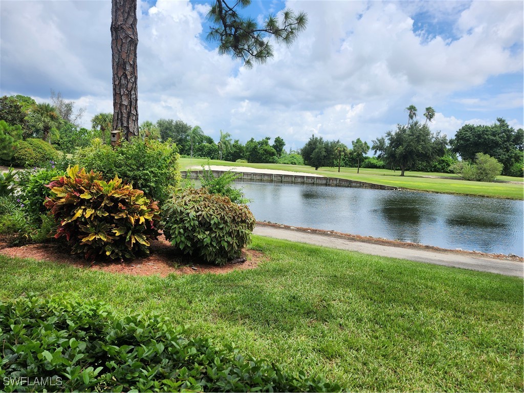 a view of a lake with a yard and potted plants