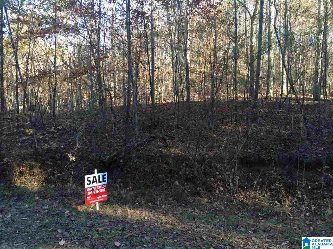 0 Berrington Lane, Unit 9 ACRES Springville, AL 35146 - Photo 2 of 4