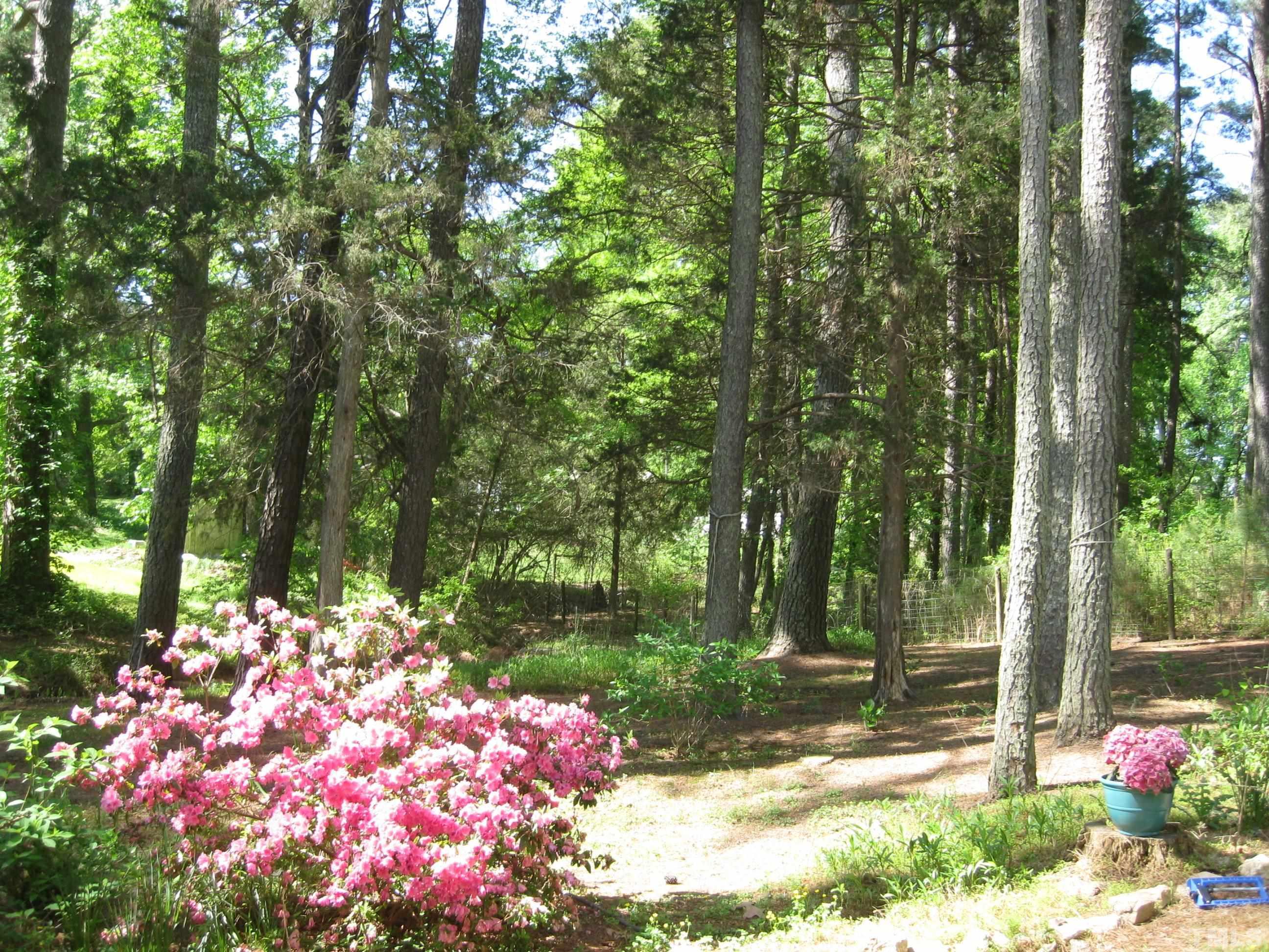 2703 Joyner Road Durham, NC 27704 - Photo 6 of 17